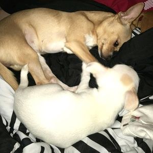 Meet your Posher, Tamara